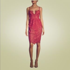 Red Lace For love and Lemons Dress